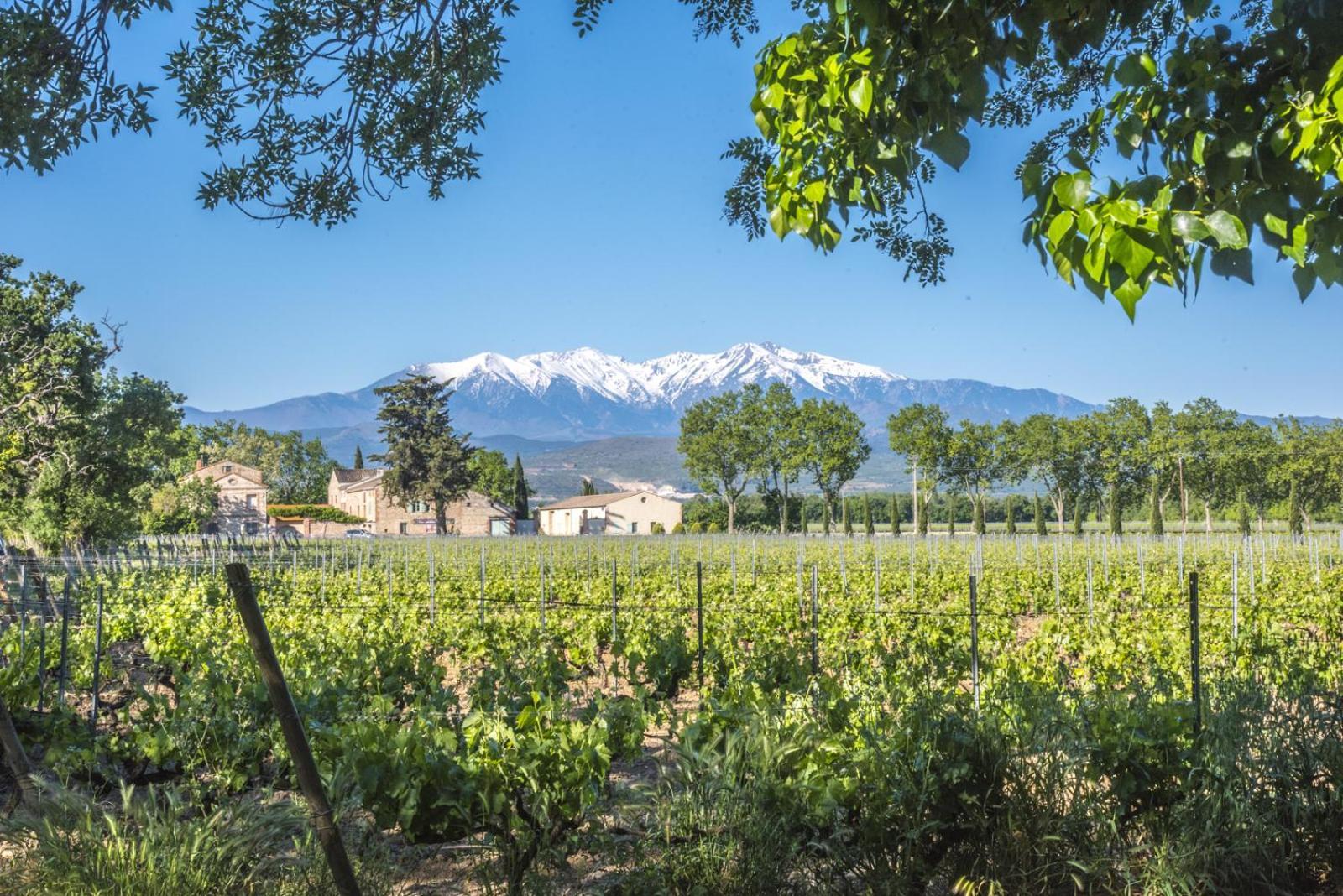 Chateau Lauriga Thuir Ngoại thất bức ảnh